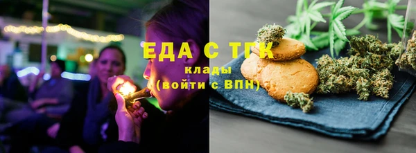 прущие грибы Туринск