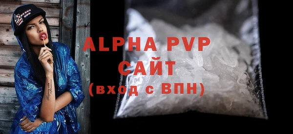 амф Гусь-Хрустальный