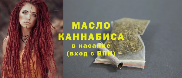 амф Гусь-Хрустальный