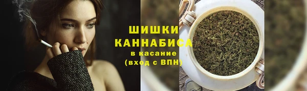 амф Гусь-Хрустальный