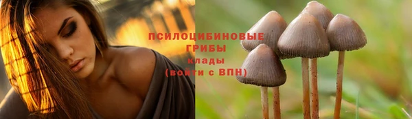 амф Тутаев