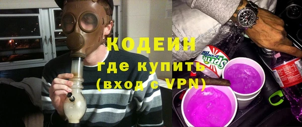амф Гусь-Хрустальный