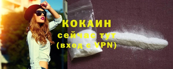 прущие грибы Туринск
