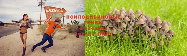 амф Гусь-Хрустальный