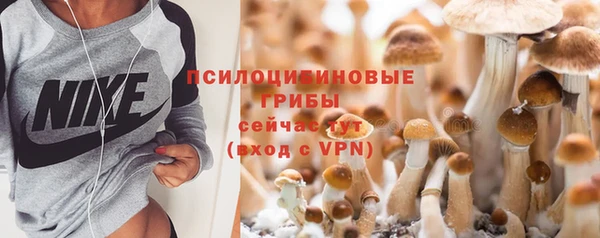 прущий лед Дмитриев