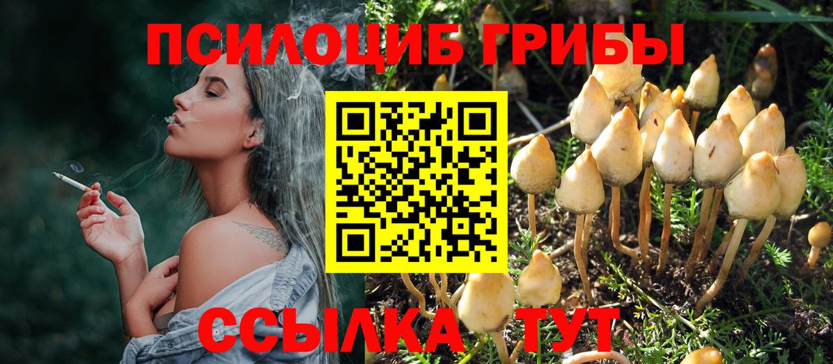 Галлюциногенные грибы Magic Shrooms Выкса
