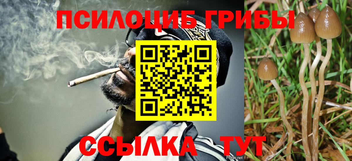 Галлюциногенные грибы MAGIC MUSHROOMS Выкса