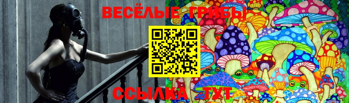 купить наркотики сайты  Выкса  Галлюциногенные грибы Magic Shrooms 